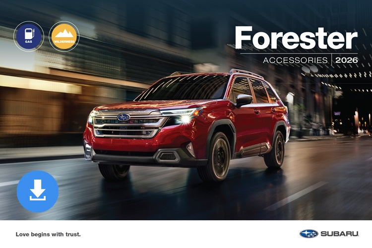 Open Road Subaru in Union NJ