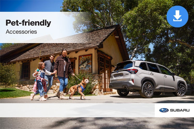 Open Road Subaru in Union NJ