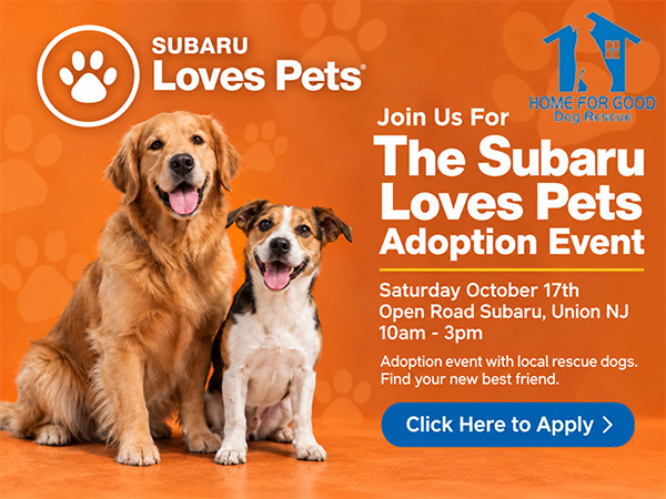 Find your best friend at Open Road Subaru